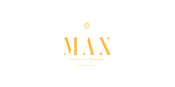 Max Cyber Security