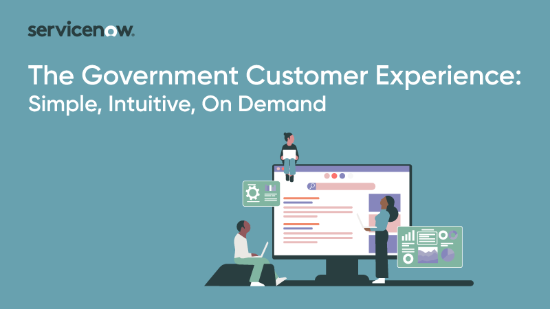 The Government Customer Experience