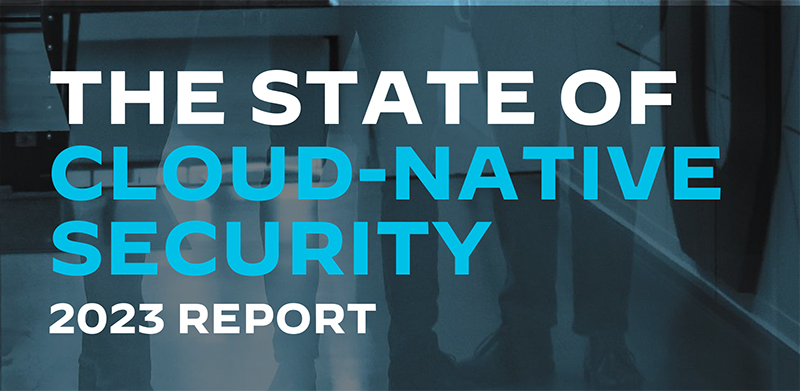The State of Cloud-Native Security
